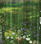 pic for Sparkling Glade  